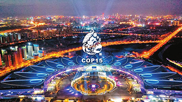 联合国生物多样性大会（COP15）